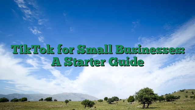 TikTok for Small Businesses: A Starter Guide