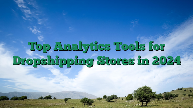 Top Analytics Tools for Dropshipping Stores in 2024