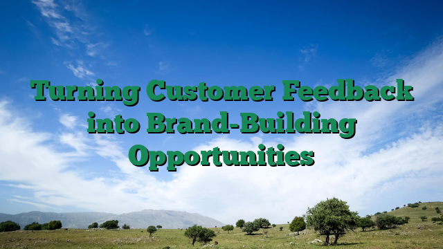 Turning Customer Feedback into Brand-Building Opportunities