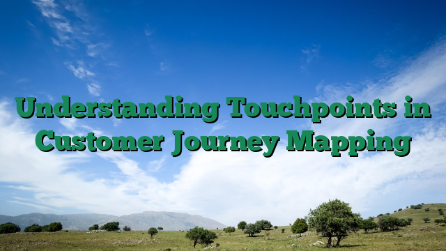 Understanding Touchpoints in Customer Journey Mapping