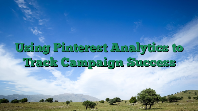 Using Pinterest Analytics to Track Campaign Success