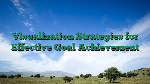 Visualization Strategies for Effective Goal Achievement