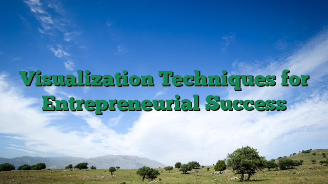 Visualization Techniques for Entrepreneurial Success