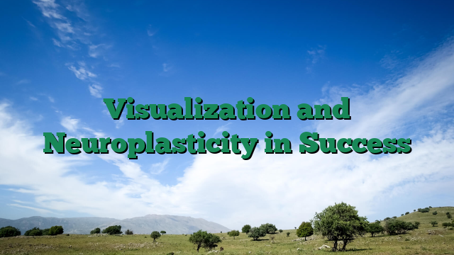 Visualization and Neuroplasticity in Success