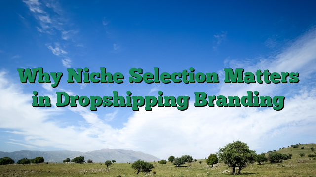Why Niche Selection Matters in Dropshipping Branding