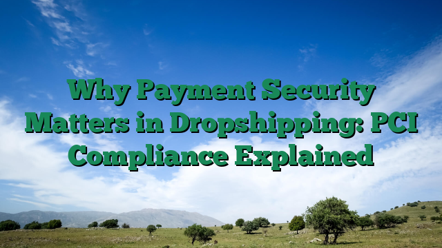 Why Payment Security Matters in Dropshipping: PCI Compliance Explained