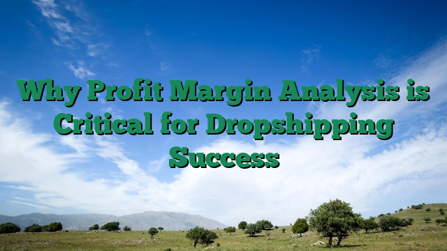Why Profit Margin Analysis is Critical for Dropshipping Success