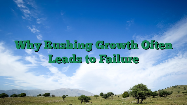 Why Rushing Growth Often Leads to Failure