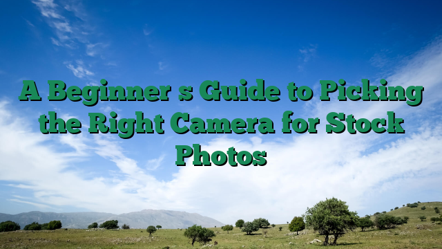 A Beginners Guide to Picking the Right Camera for Stock Photos