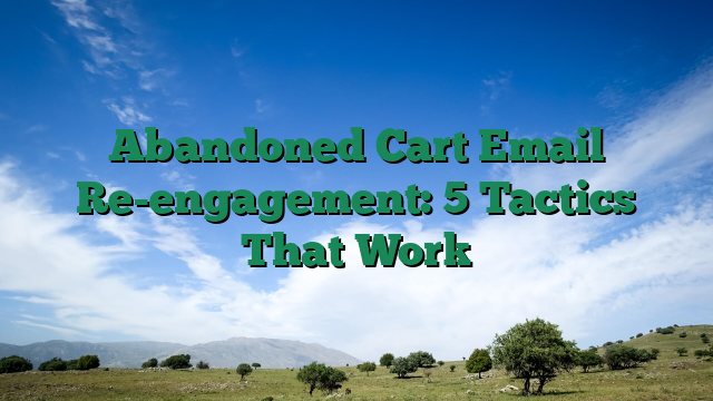 Abandoned Cart Email Re-engagement: 5 Tactics That Work