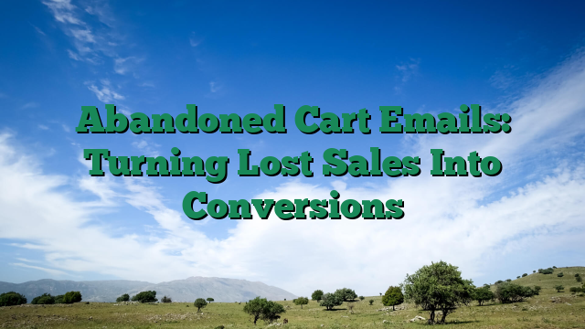 Abandoned Cart Emails: Turning Lost Sales Into Conversions