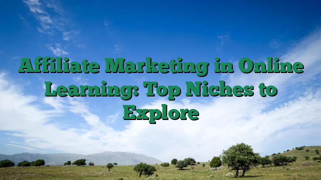 Affiliate Marketing in Online Learning: Top Niches to Explore