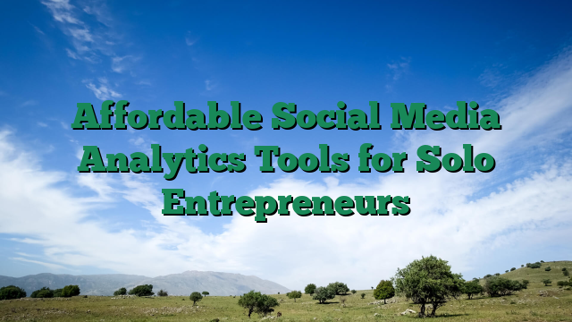 Affordable Social Media Analytics Tools for Solo Entrepreneurs