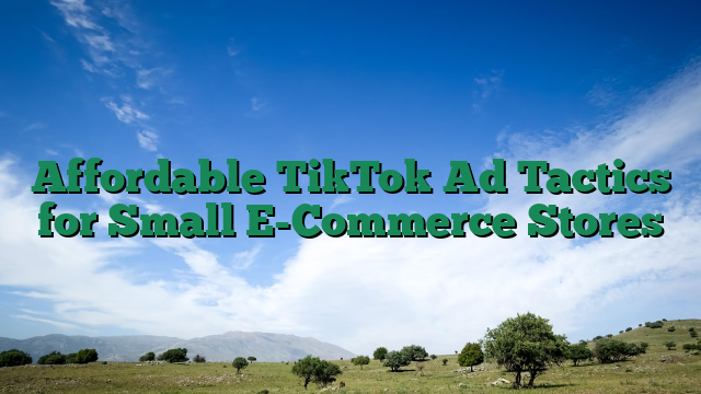 Affordable TikTok Ad Tactics for Small E-Commerce Stores