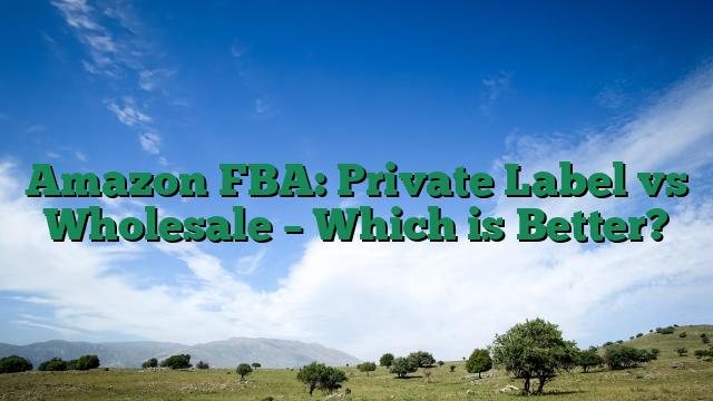 Amazon FBA: Private Label vs Wholesale – Which is Better?