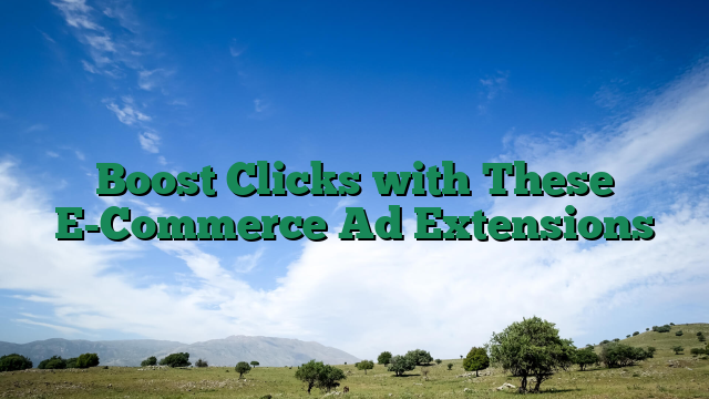 Boost Clicks with These E-Commerce Ad Extensions