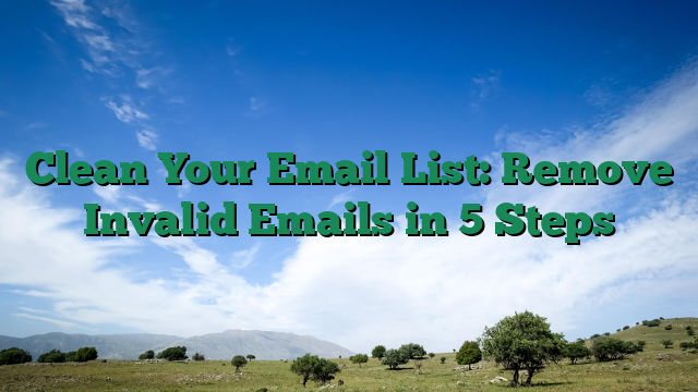 Clean Your Email List: Remove Invalid Emails in 5 Steps