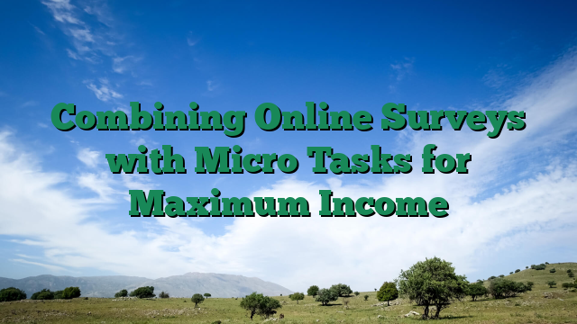 Combining Online Surveys with Micro Tasks for Maximum Income