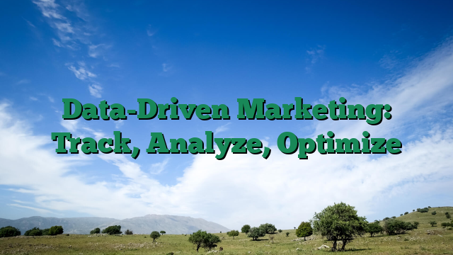 Data-Driven Marketing: Track, Analyze, Optimize