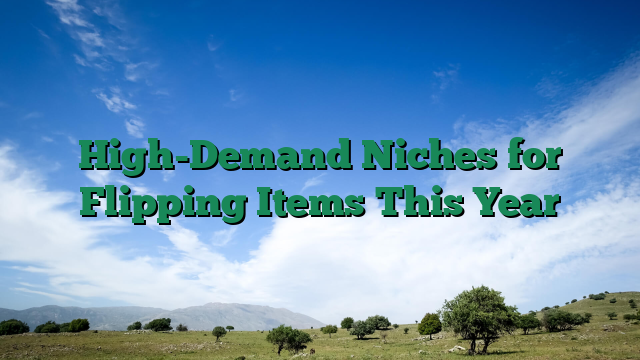 High-Demand Niches for Flipping Items This Year