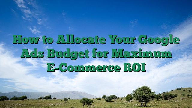 How to Allocate Your Google Ads Budget for Maximum E-Commerce ROI