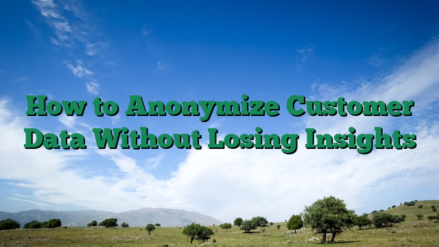 How to Anonymize Customer Data Without Losing Insights
