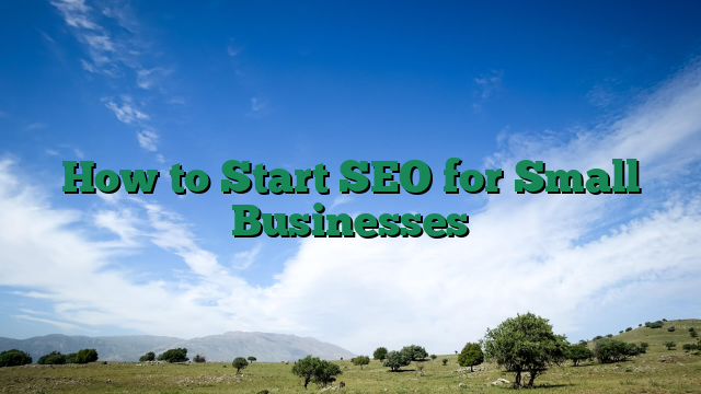 How to Start SEO for Small Businesses
