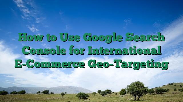 How to Use Google Search Console for International E-Commerce Geo-Targeting