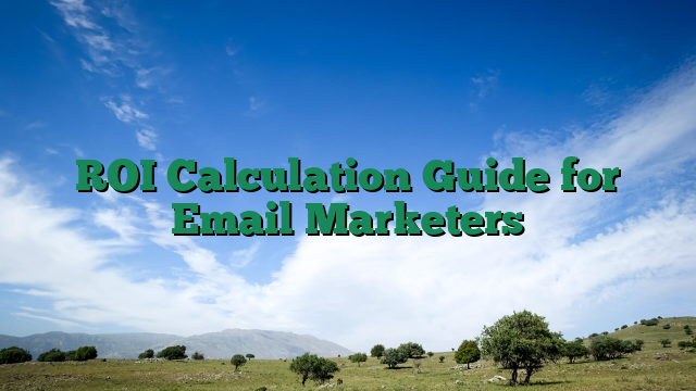ROI Calculation Guide for Email Marketers
