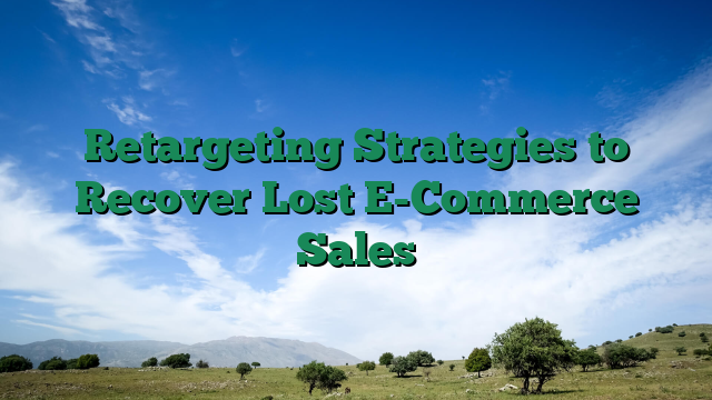Retargeting Strategies to Recover Lost E-Commerce Sales