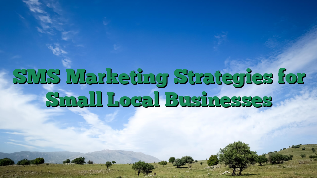 SMS Marketing Strategies for Small Local Businesses