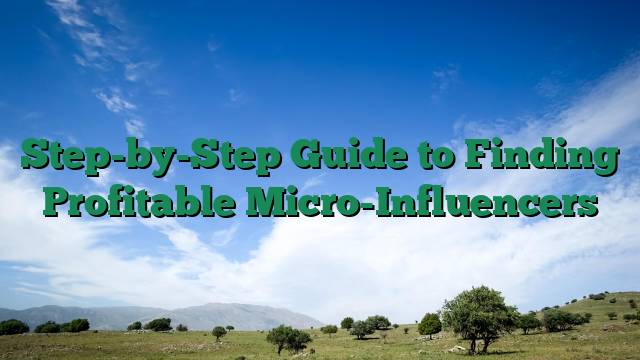 Step-by-Step Guide to Finding Profitable Micro-Influencers