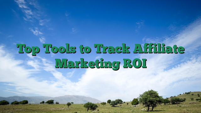 Top Tools to Track Affiliate Marketing ROI