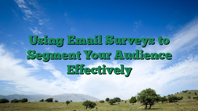 Using Email Surveys to Segment Your Audience Effectively